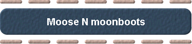  Moose N moonboots 
